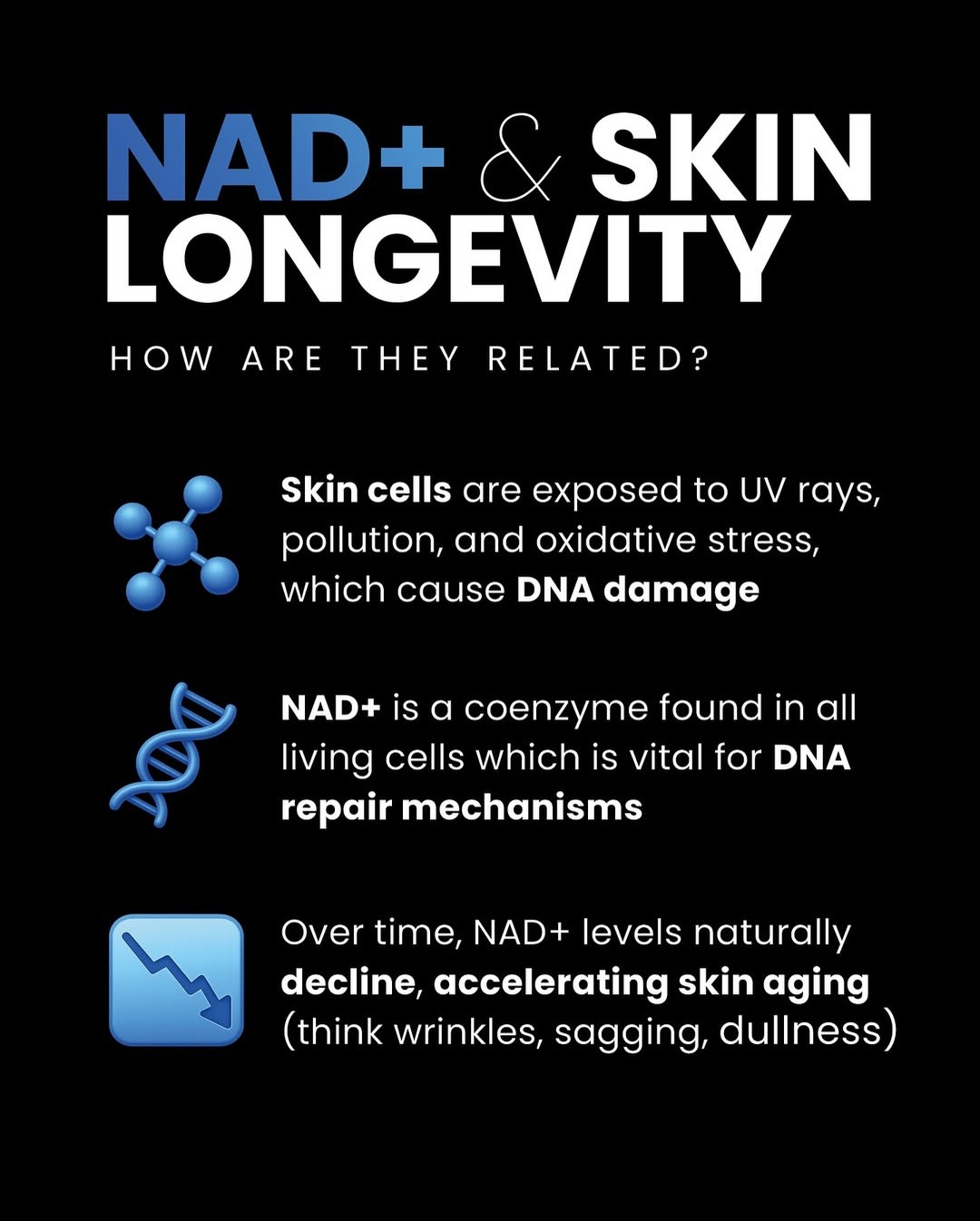 Biohavking Skin Longevity Alfa Medico Tea Jedlovčnik (8)